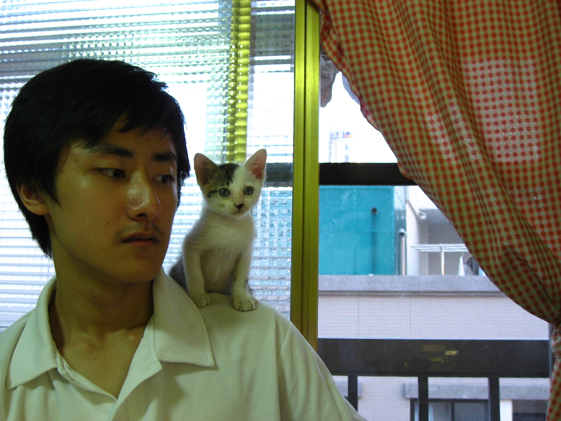 Featured image of post 野狼掰掰